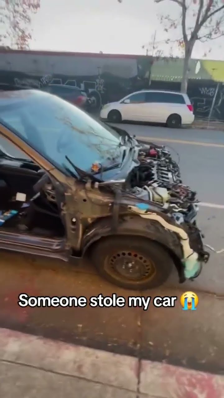 They only left the crumbs prvnci car looking crazy