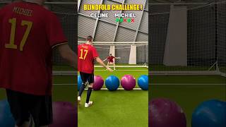 Blindfold Vs Giant Ball Challenge 