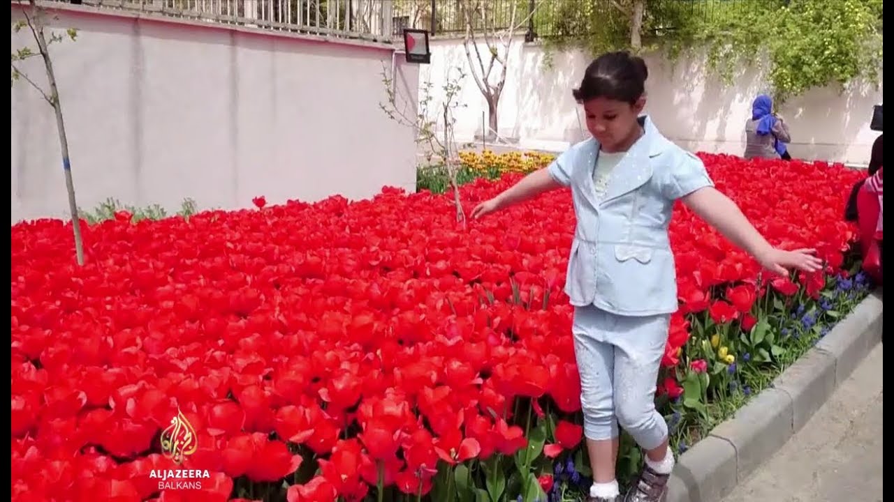 ذكريات رجل عن والدته تصبح عامل جذب رئيسي في طهران