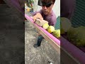 A magnificent, genius marble run race with a rainbow!8