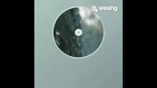 Cinta Berpayung Bulan