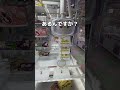 景品全部取ってみた#UFOキャッチャー #クレーンゲーム #ゲームセンター #攻略 #shorts #youtubeshorts
