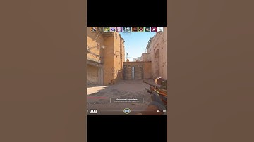 CS2: Friendly fire #cs2funny