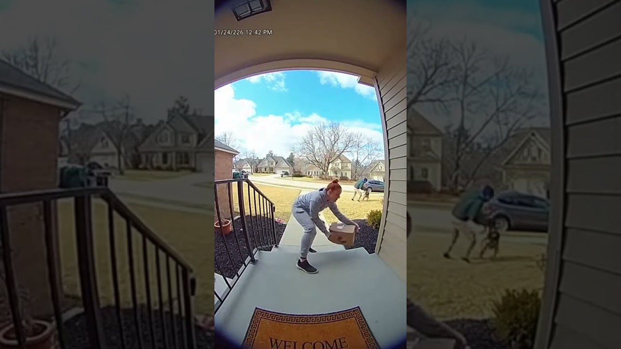 Delivery driver gets attacked by a dog!!!