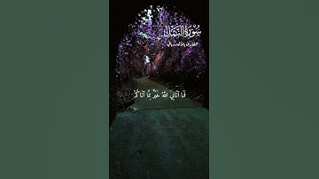 القرآن راحة النفسيه تلاوة خاشعة حالات واتس اب قرآن كريم 💜🥀🌿
