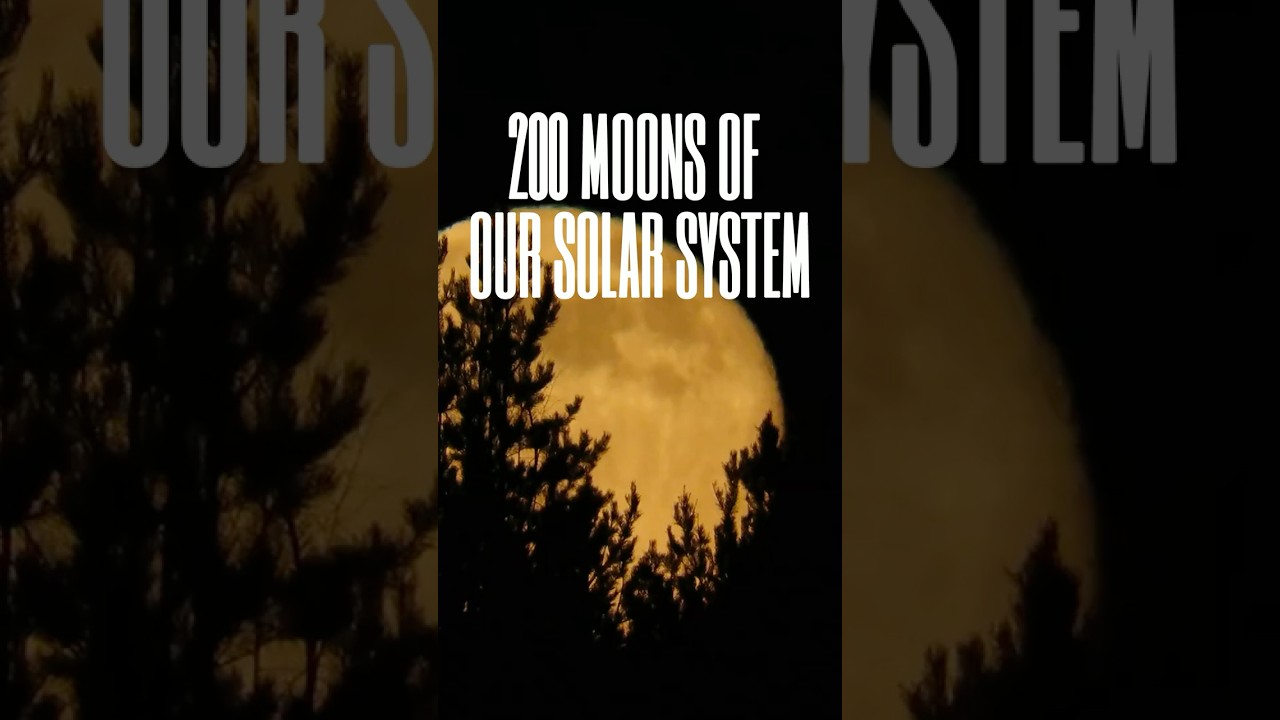 Our solar system has over 200 moons! #space #earth #universe #didyouknow #facts #viralshorts #fact