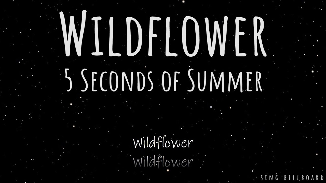 5 Seconds of Summer Wildflower (Realtime Lyrics) YouTube