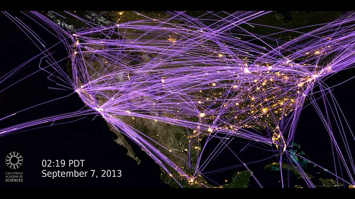 How Many Planes Are in the Sky? (North America)  | California Academy of Sciences - DayDayNews