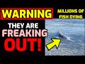 🚨WARNING!! 🚨 The ANIMALS are FREAKING OUT!! - Millions of &quot;Swirling&quot; FISH DYING