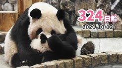Adventure World Theme Park In Wakayama Youtube Adventure World Theme Park In Wakayama Youtube