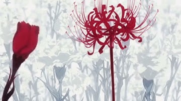 Send It To Oslo - Sparky Deathcap | slowed