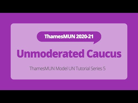 Unmoderated Caucuses [ThamesMUN MUN Tutorial]