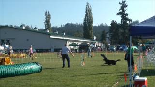 Kobe Zap Open Touchngo 8-12-2012