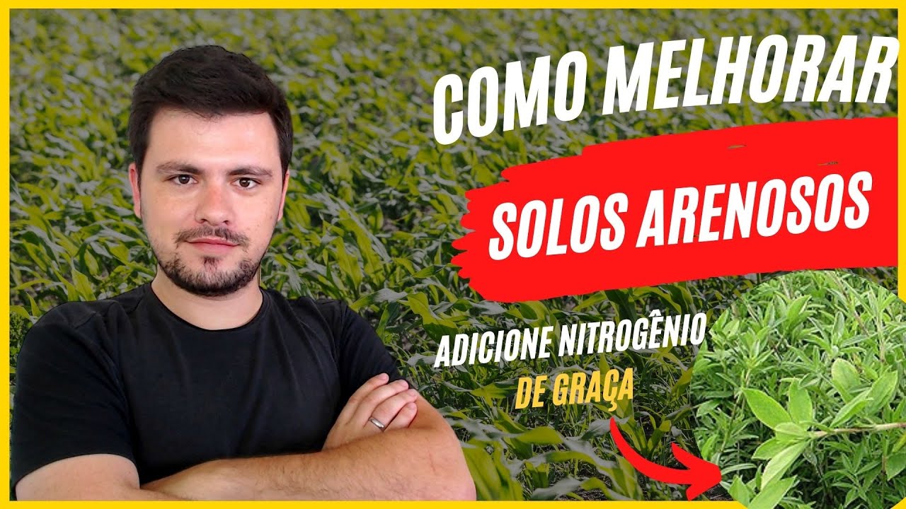 Dicas para melhorar SOLOS ARENOSOS