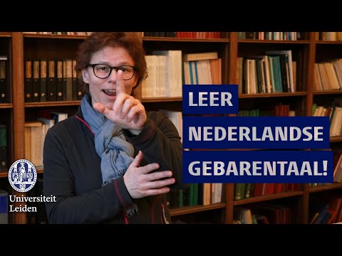 Video: Hoe om iemand by die IRS aan te meld: 14 stappe (met foto's)