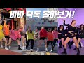 [VIVA TikTok] 비바의 재미진 틱톡 모음집 1탄 몰아보기! (+ 새로운 틱톡 영상!) 여러분들이 생각하는 베스트를 뽑아주세요!