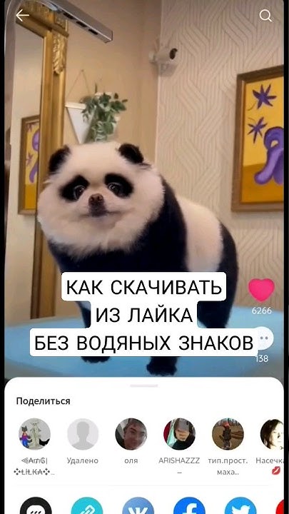Как выглядит водяной знак в лайке