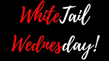 Locating Rutting Bucks Using A Topo!