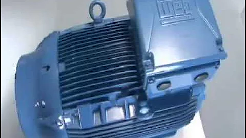 WEG   W22 3 Phase Motor