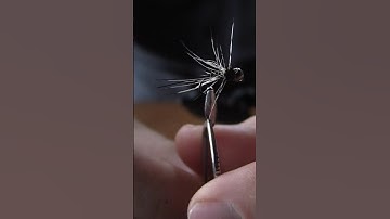 Tungsten soft hackle nymph. #subscribe #flytying #flyfishing