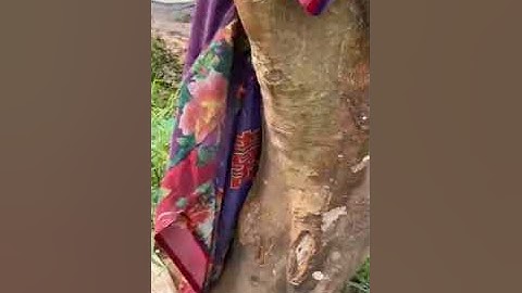 Đẹp, Độc, lạ. Những cây bưởi cảnh tết đắt giá nhất Việt Nam. 0911451210