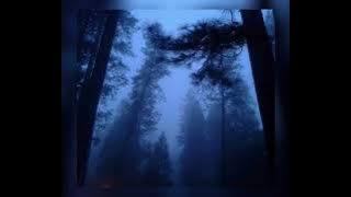 Akiaura- Sleepwalker (speed up)