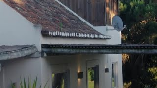 Carolina Irvings Secret to a Successful Interior