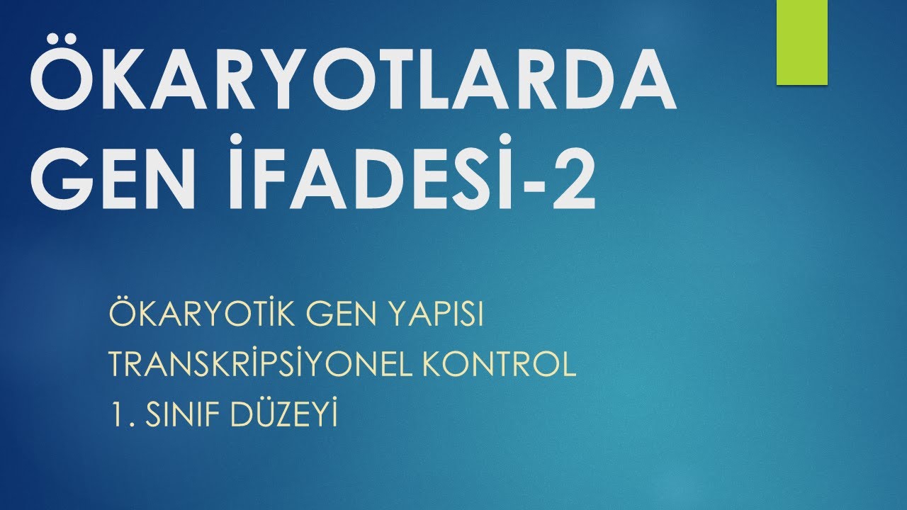 Ökaryotlarda Gen İfadesi - 2 TÜRKÇE (1. Sınıf)