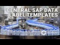 Codingcontrol central sap data label templates
