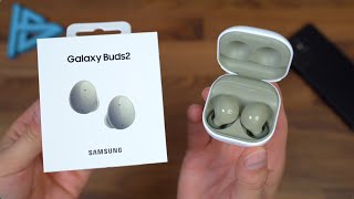 Samsung Galaxy Buds 2 Unboxing! Samsung Galaxy Buds 2 Unboxing!