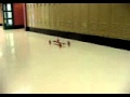 Successful mousetrap car run.