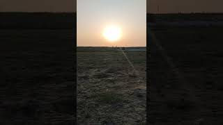 dholan #वायरल