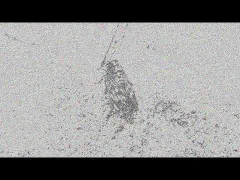 Processing animation art ( 作品 )