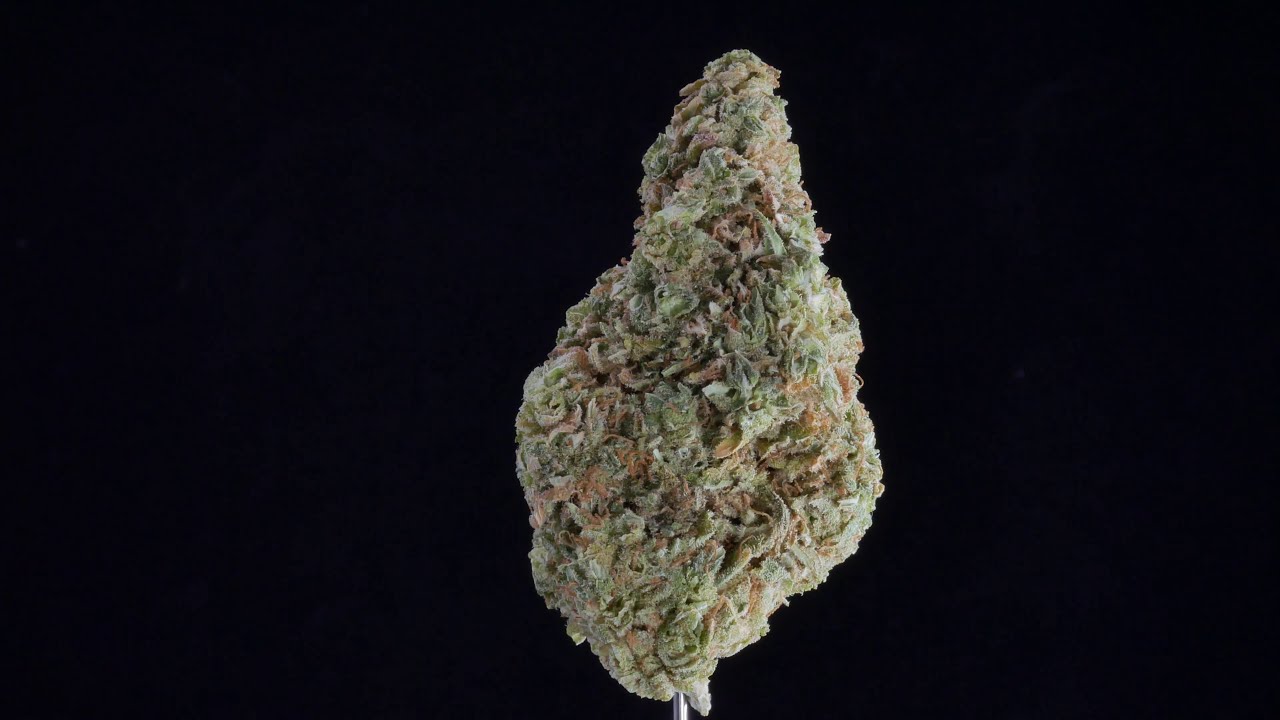 4K cannabis 015 - Edison Casablanca Reserve 