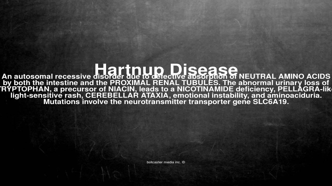 Medical vocabulary: What does Hartnup Disease mean - YouTube