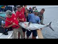 130lb Record Breaking Tuna Caught On AM 1 2 Day In Newport Beach 130lb Record Breaking Tuna Caught On AM 1 2 Day In Newport Beach