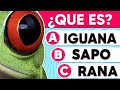 Adivina el Animal por la IMAGEN 🐸🦊 Adivinanzas de Animales | Mente Maestra