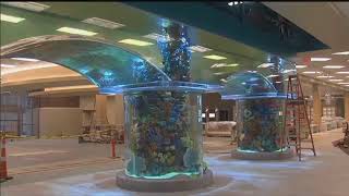 New Scheels Store Almost Open Net Worth