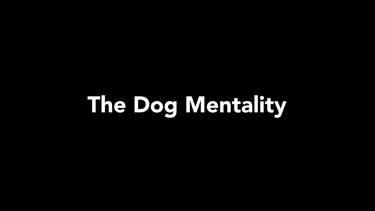 The Dog Mentality CMU Football Documentary YouTube