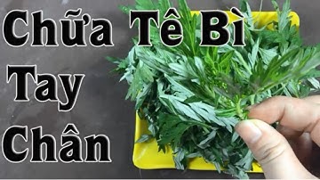 Tê bì chân tay nặng đến mấy cũng khỏi hẳn nhờ 1 nắm lá ngải cứu làm theo cách đơn giản này