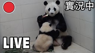 Precious Opportunity To Name Two Baby Pandas~ screenshot 1