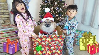 Christmas Morning 2017 Special-Opening Presents and Surprise Puppy from Santa