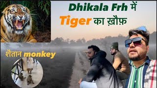 #tiger attacks के baad #dhikala mei khauff #jimcorbett #corbett #dhikalazone #travel #jungle​⁠