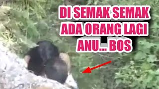 #VIRAL...DI SEMAK SEMAK ADA ORANG LAGI ANU