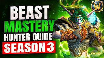 BM Hunter S3 Beginner Guide (11.2.5) — Talents, Gear, Rotation