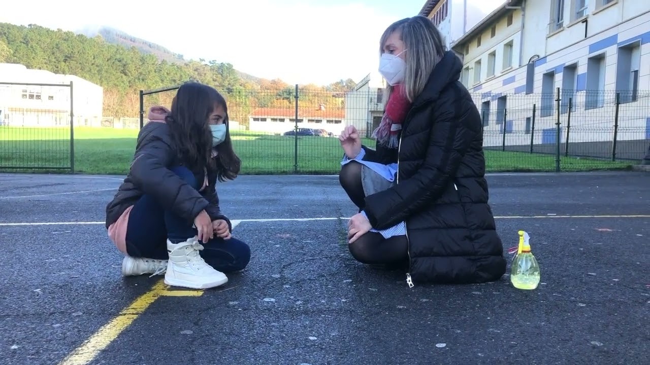 Lehen Hezkuntza San Viator Sopuerta