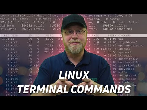 10 Linux Terminal Commands for Beginners