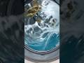 Ocean water in a GE front load washer!
