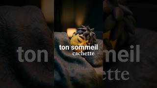 Ce que ton sommeil dit de toi que tu n'as jamais osé admettre #psychology #motivation #citation