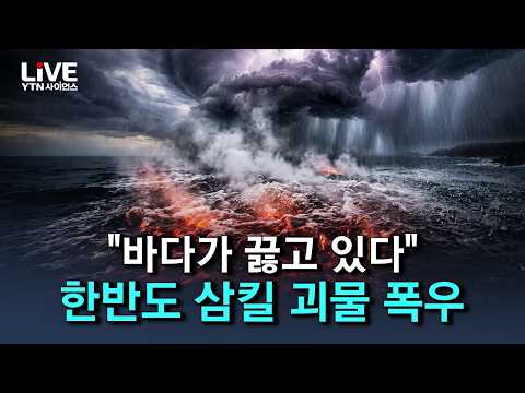 끓는 바다가 만든 '기후 재앙'..한반도 초대형 폭우의 시작 [반복재생] / YTN 사이언스